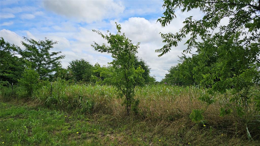 Tbd Hwy 82 Property Photo 6