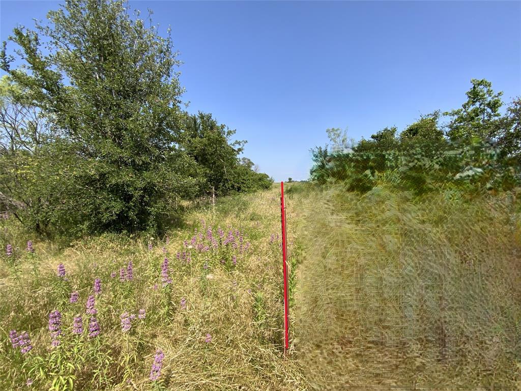 48 Tatanka Trail Property Photo 6