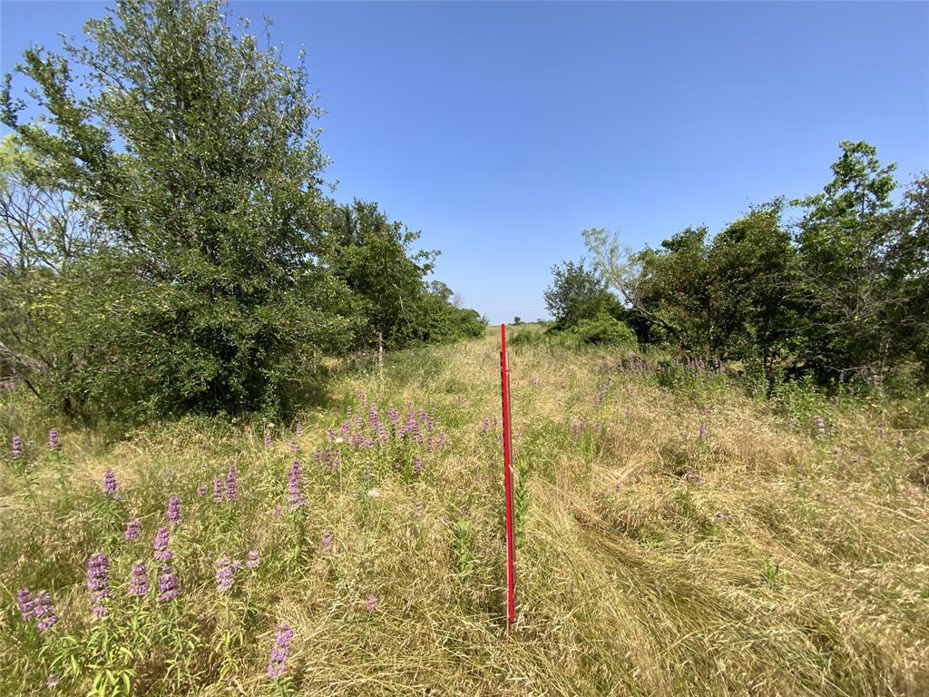 48 Tatanka Trail Property Photo 9