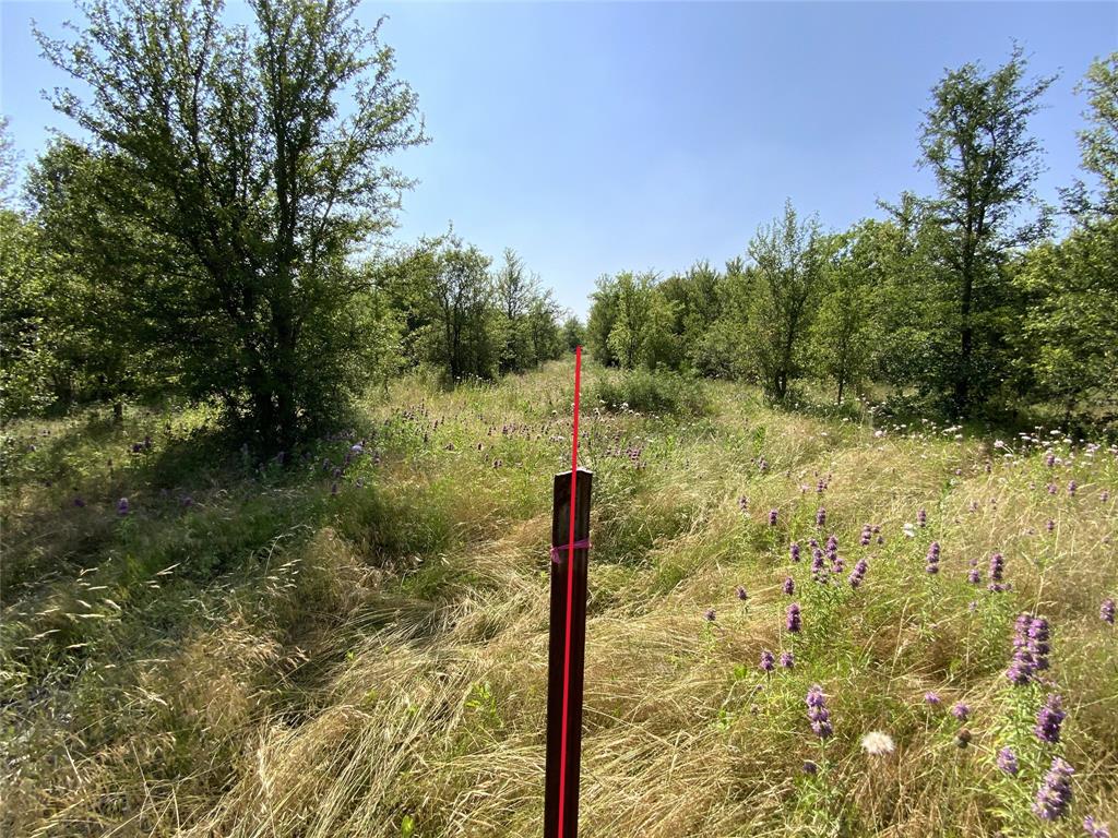 48 Tatanka Trail Property Photo 10