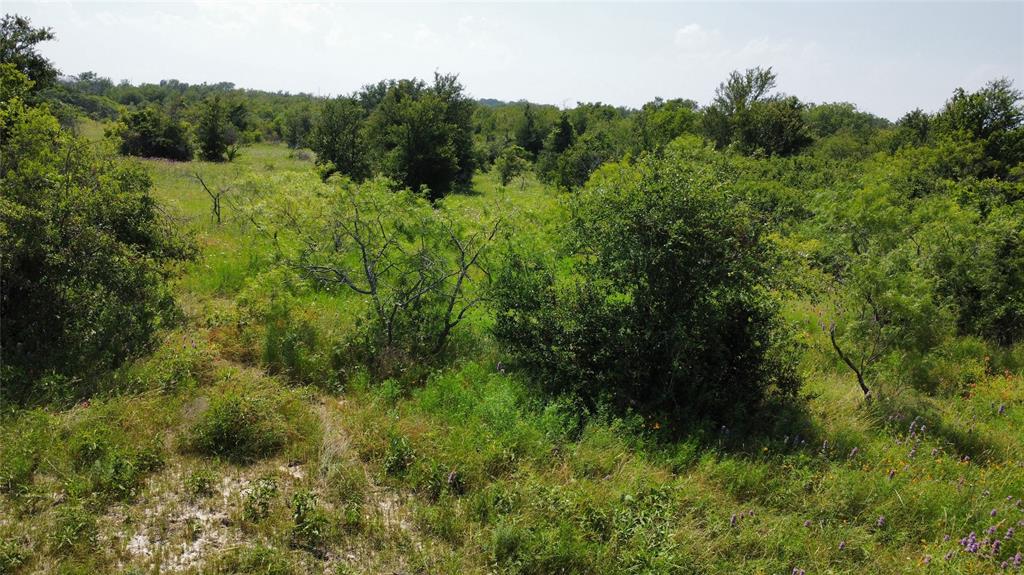 48 Tatanka Trail Property Photo 11
