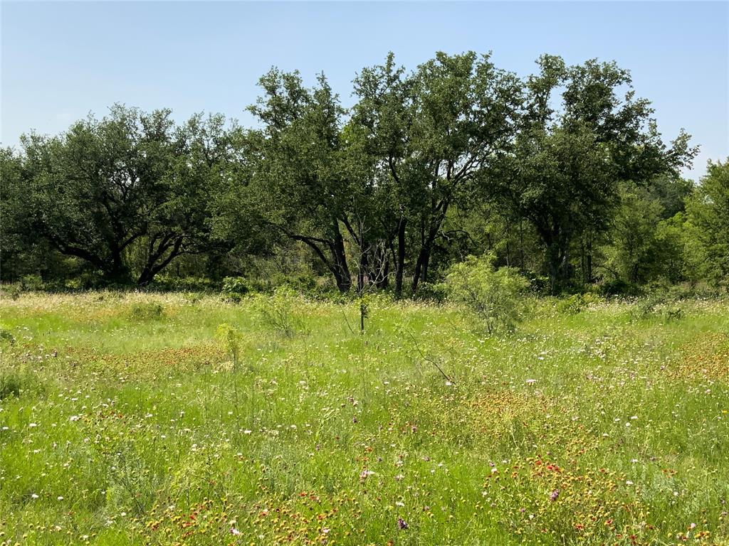 48 Tatanka Trail Property Photo 18