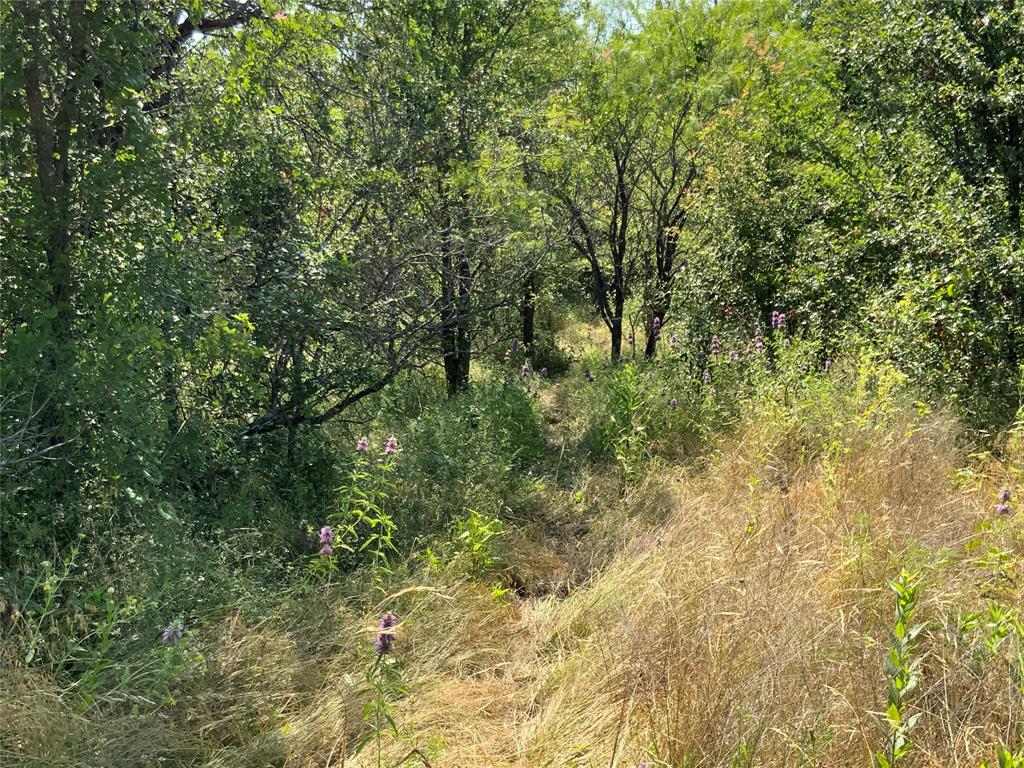 48 Tatanka Trail Property Photo 19