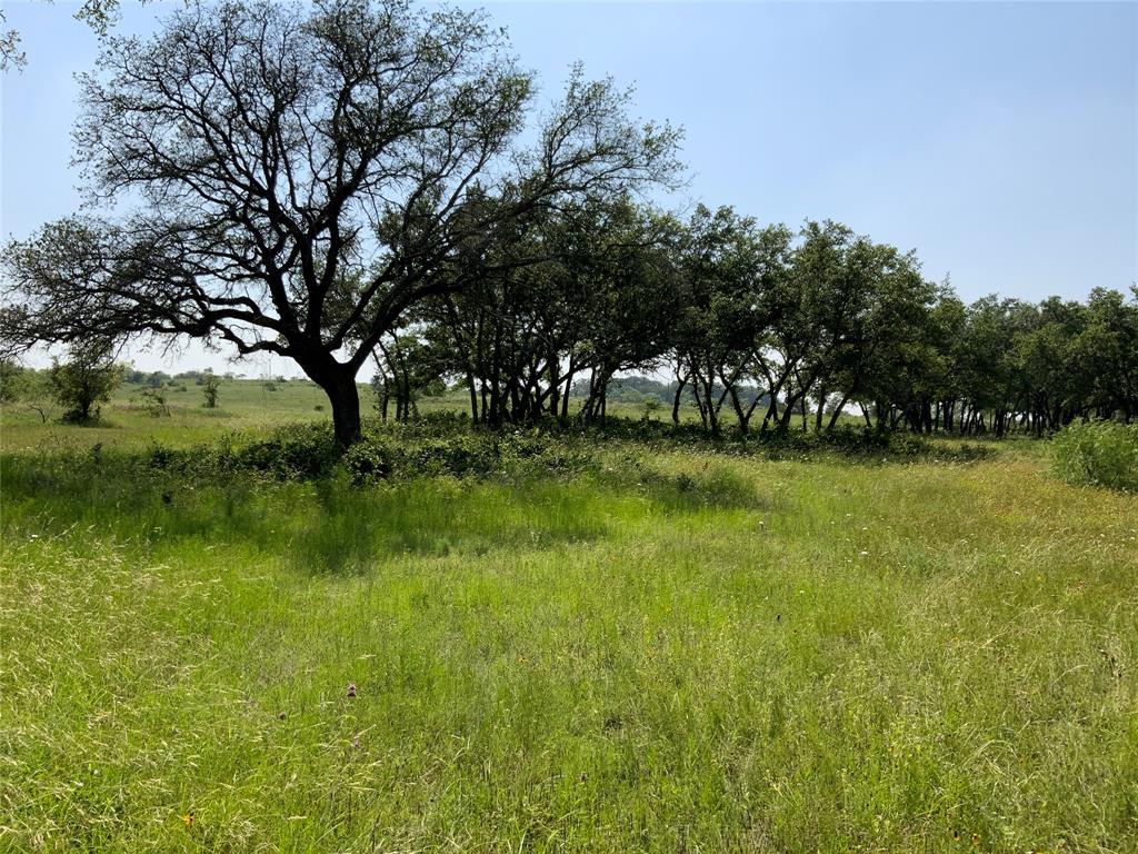 48 Tatanka Trail Property Photo 20
