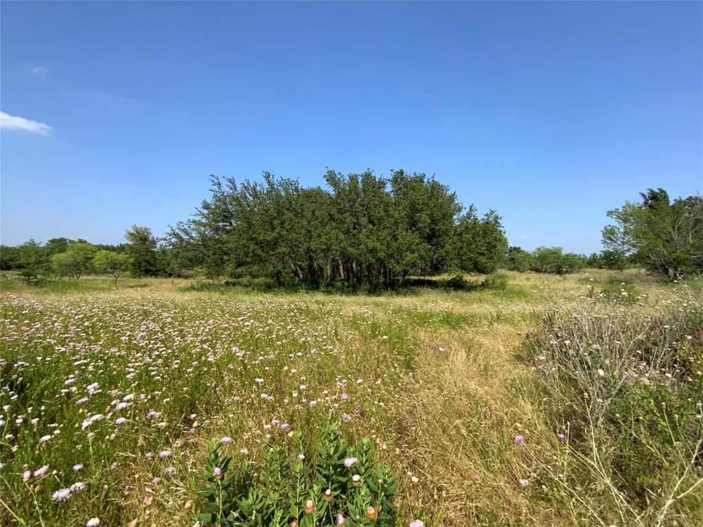48 Tatanka Trail Property Photo 22
