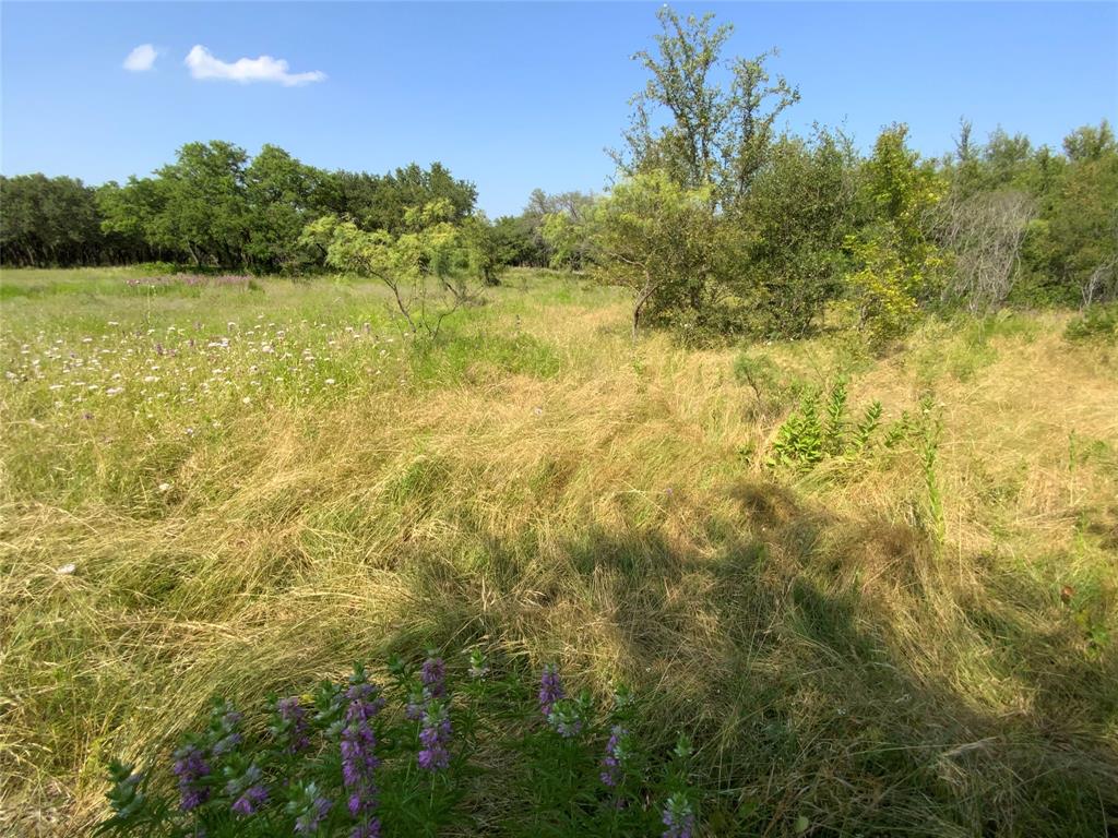 48 Tatanka Trail Property Photo 23