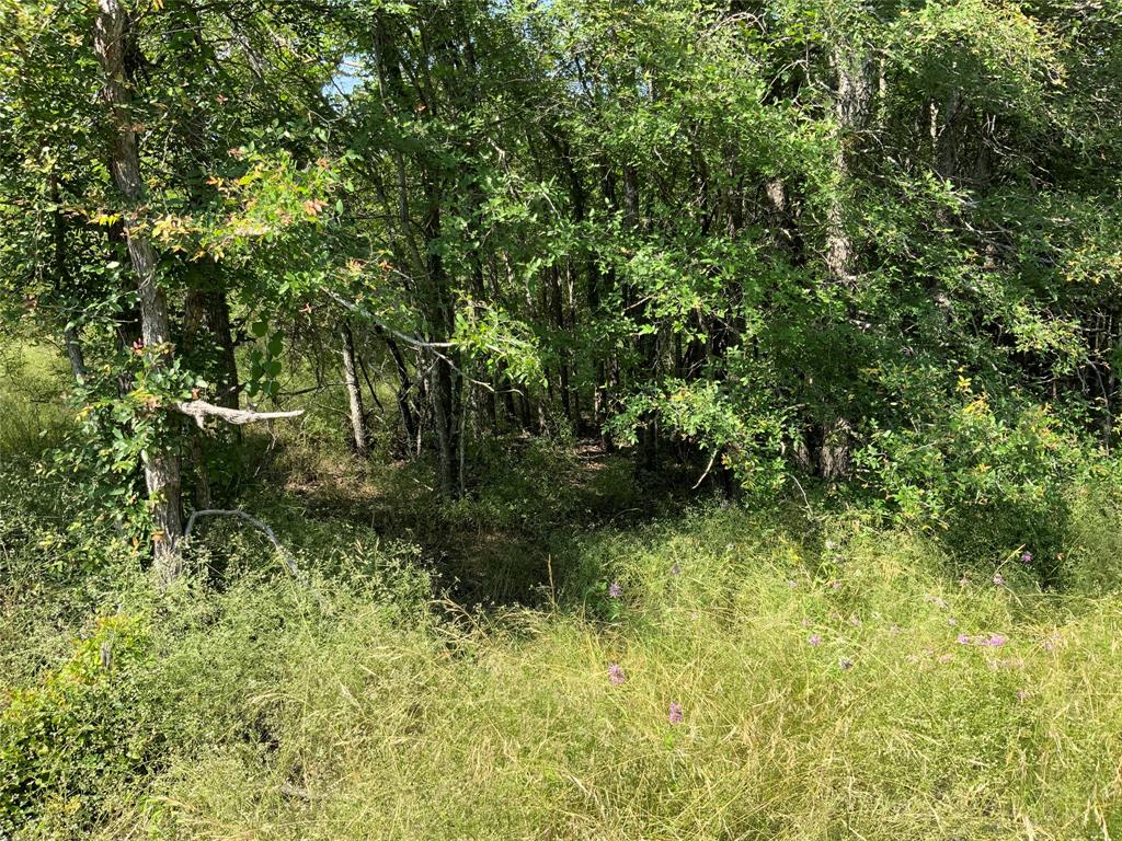 48 Tatanka Trail Property Photo 25