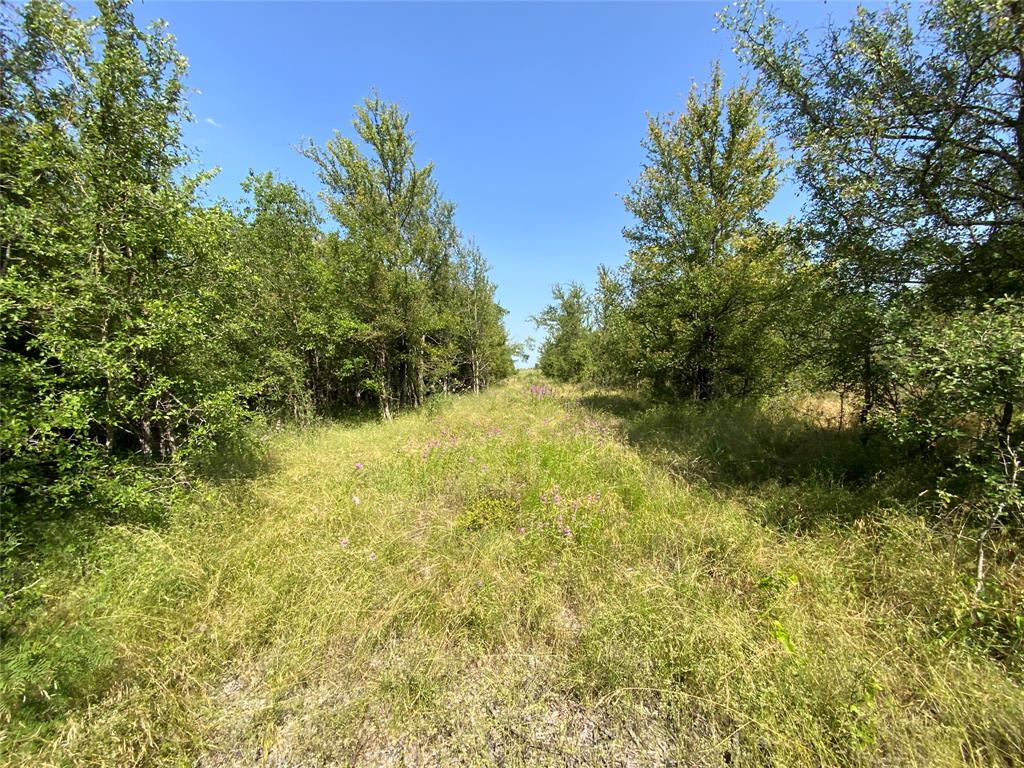 48 Tatanka Trail Property Photo 26