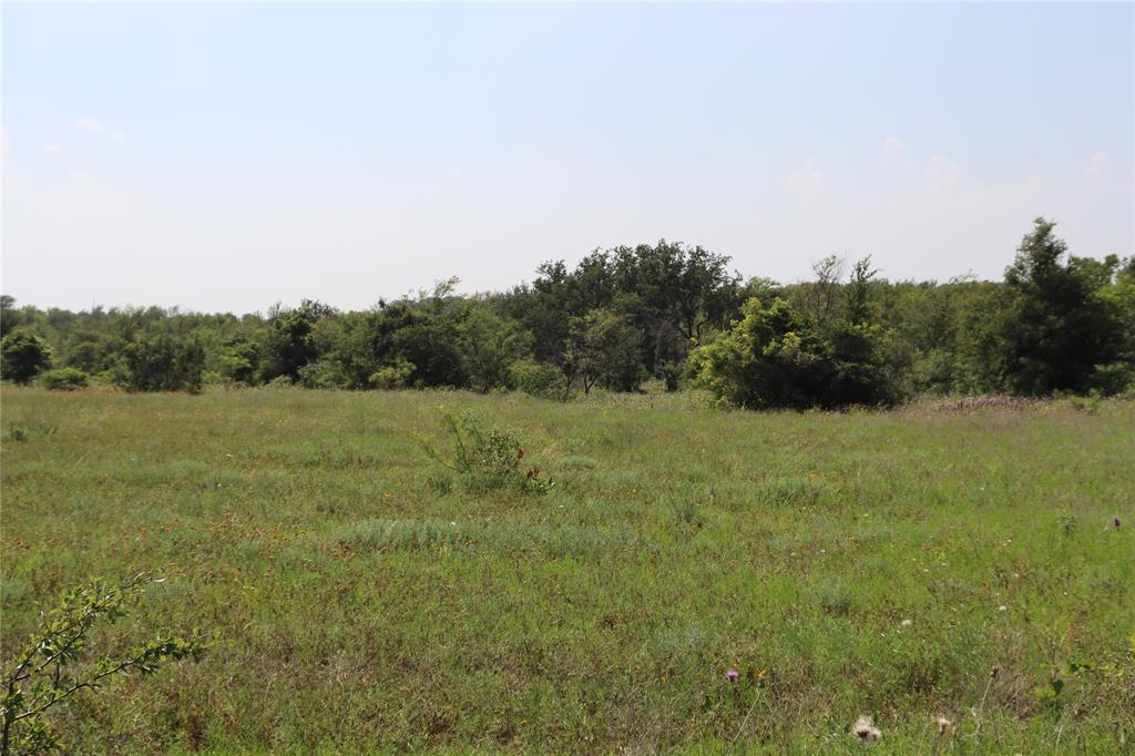 48 Tatanka Trail Property Photo 29