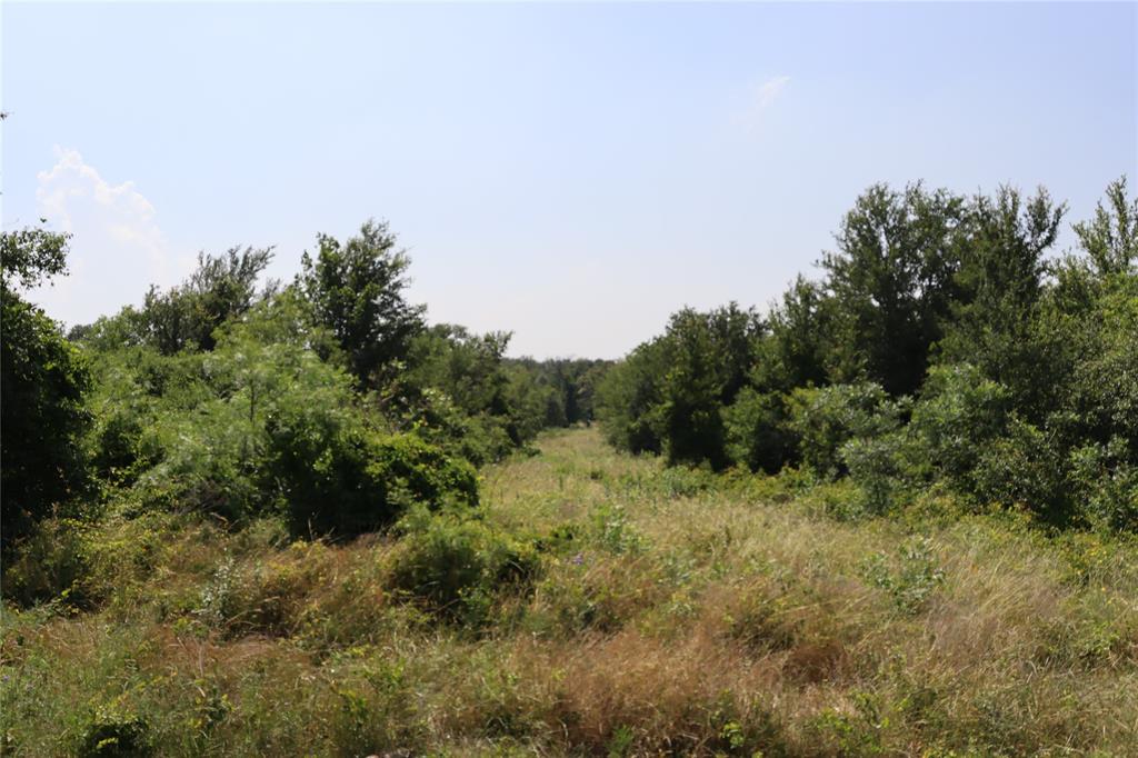 48 Tatanka Trail Property Photo 34