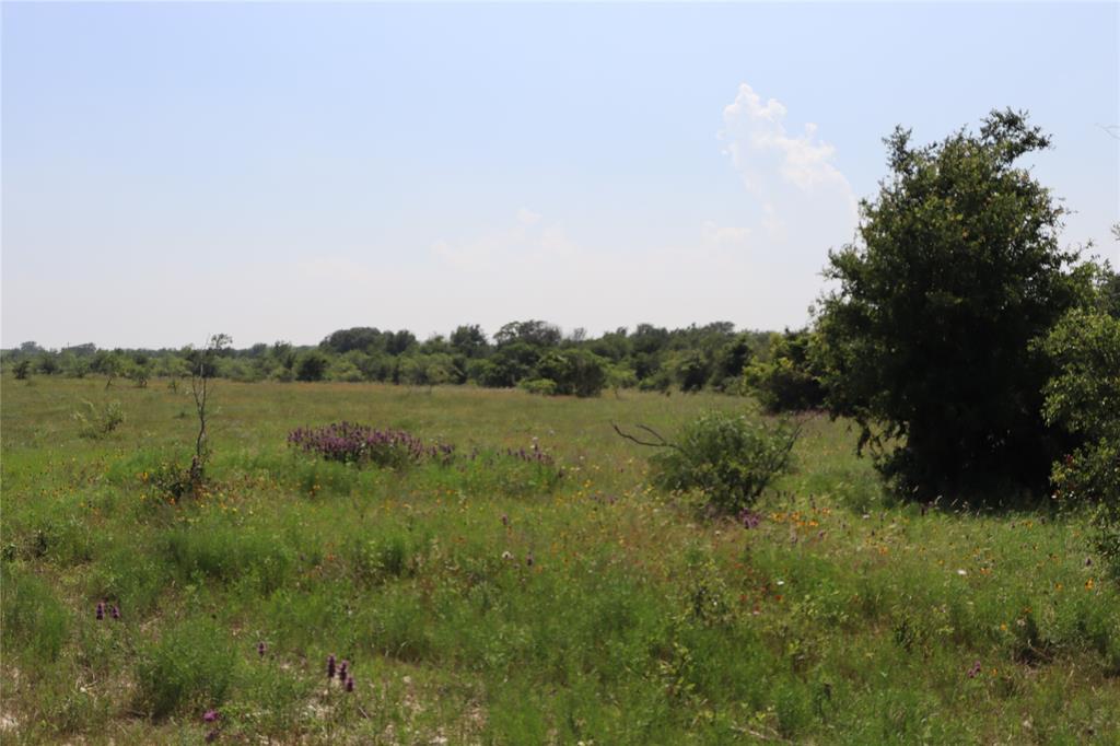 48 Tatanka Trail Property Photo 35
