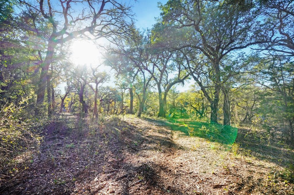 3061 Canyon Ranch Road Property Photo 5
