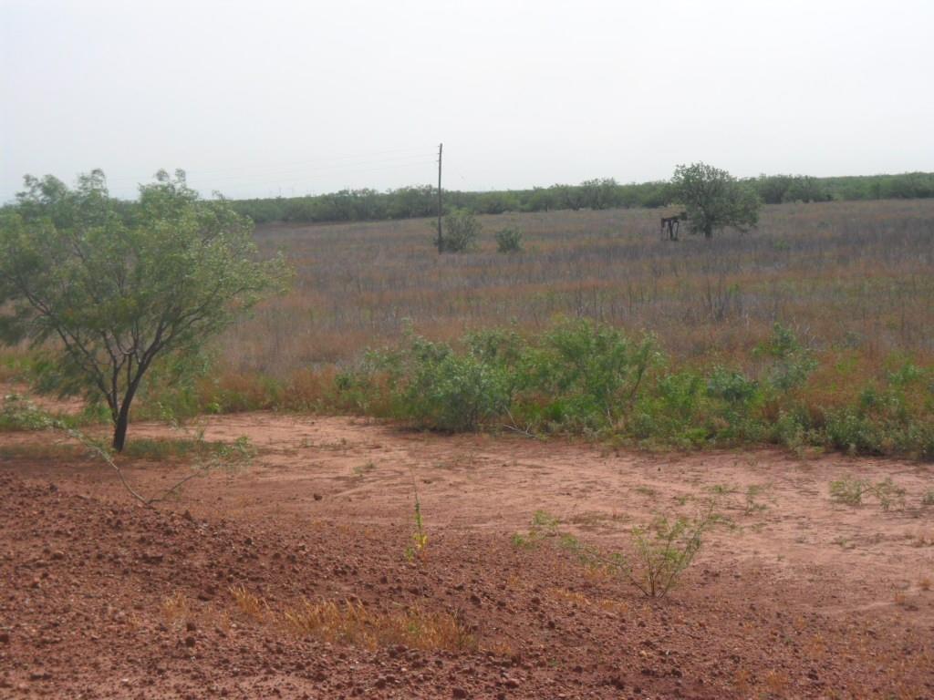 Tbd Fm 1750 Fm 1750 Property Photo 2