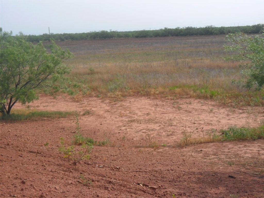 Tbd Fm 1750 Fm 1750 Property Photo 3