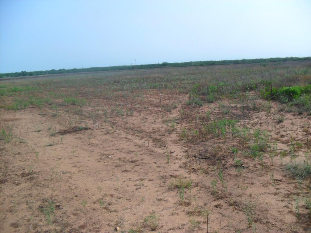 Tbd Fm 1750 Fm 1750 Property Photo 5