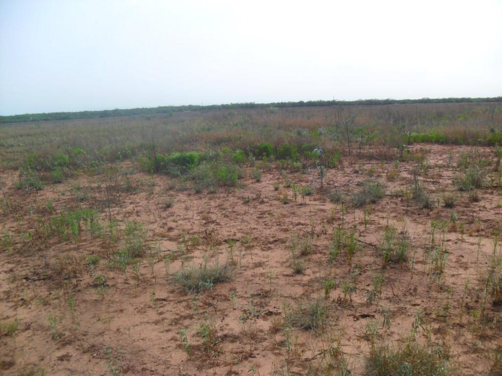 Tbd Fm 1750 Fm 1750 Property Photo 6