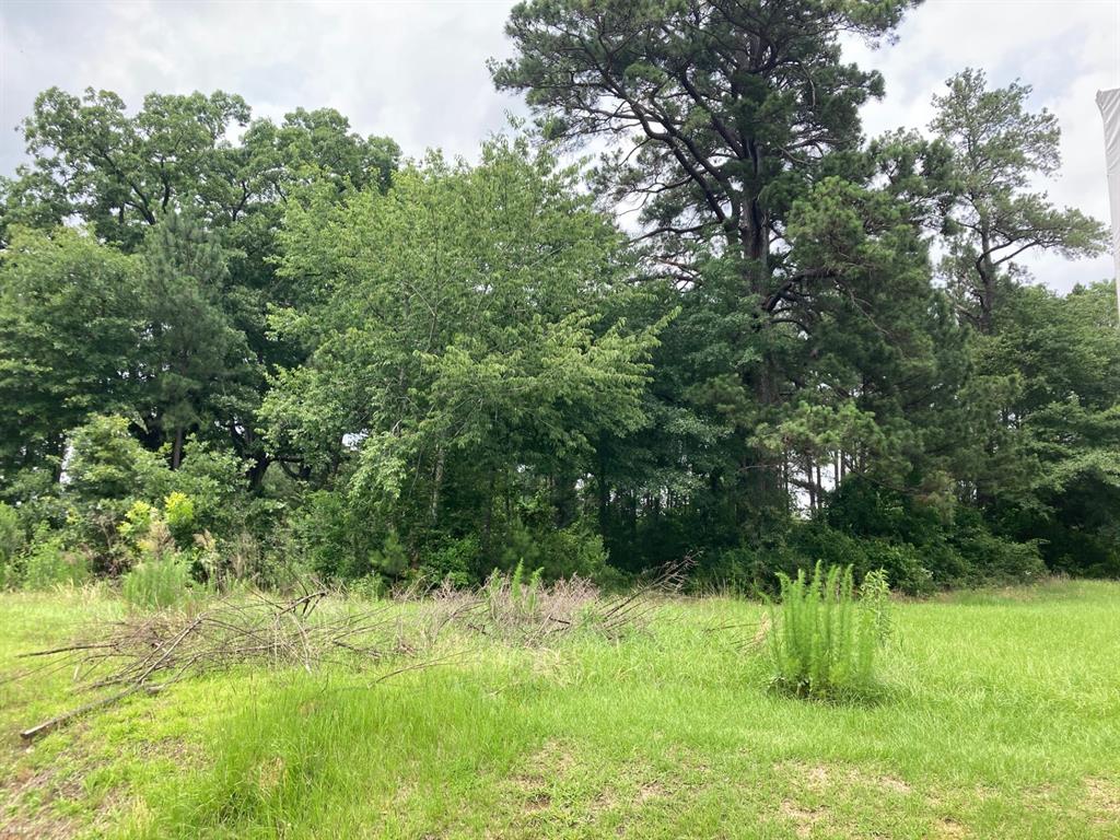 1312 Sibley Road Property Photo 9