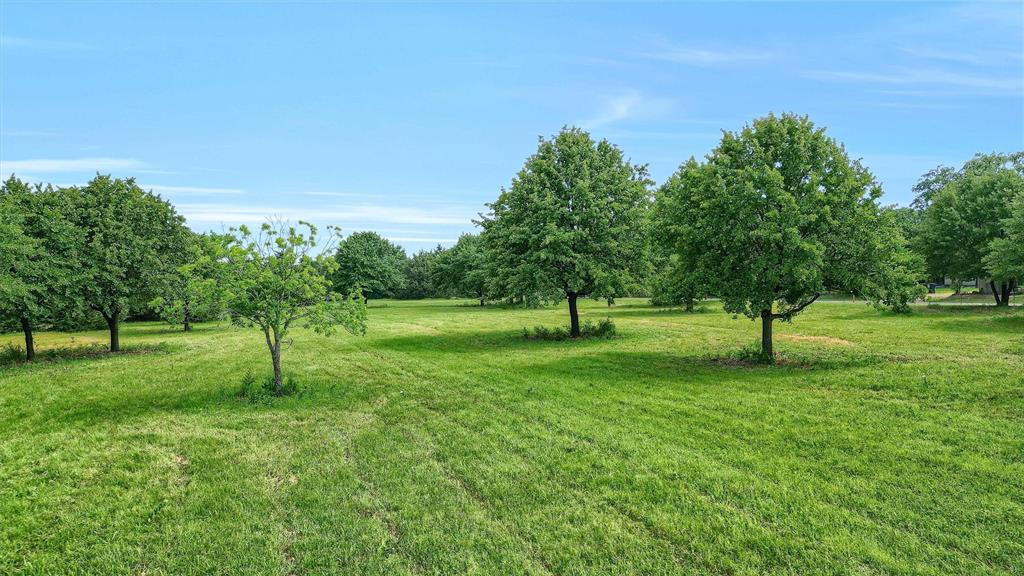 Tbd W Line Road Property Photo 19