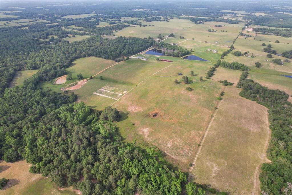 Tbd An County Road 2301 Property Photo 8