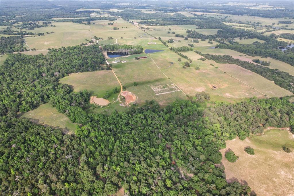 Tbd An County Road 2301 Property Photo 10