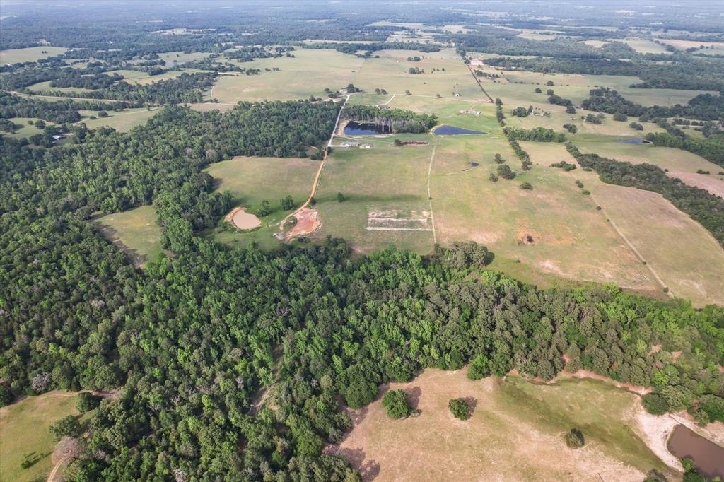 Tbd An County Road 2301 Property Photo 11