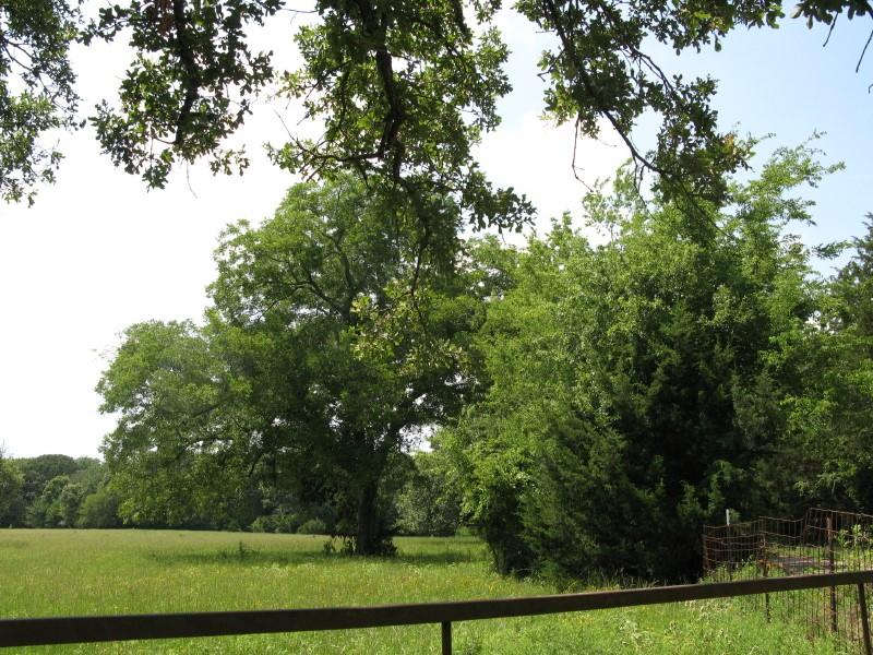 Tbd Van Zandt County Road 1111 Property Photo 3