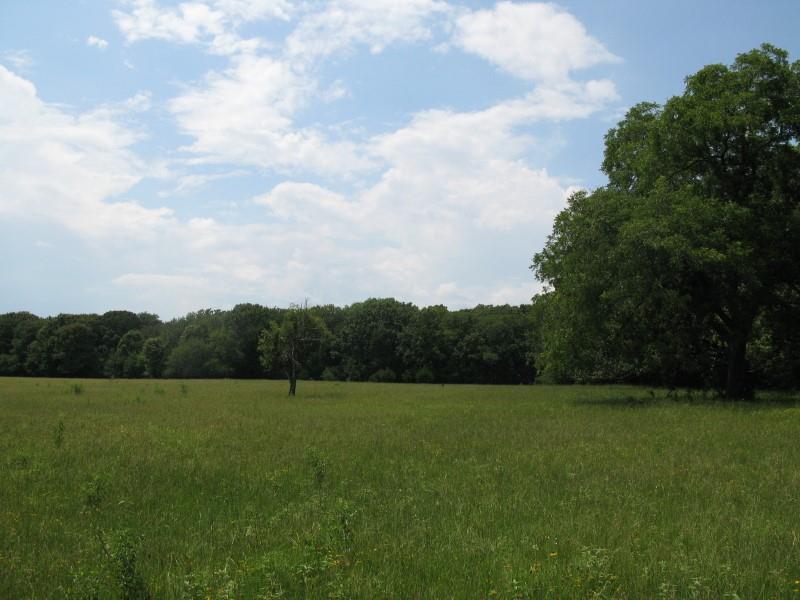 Tbd Van Zandt County Road 1111 Property Photo 4