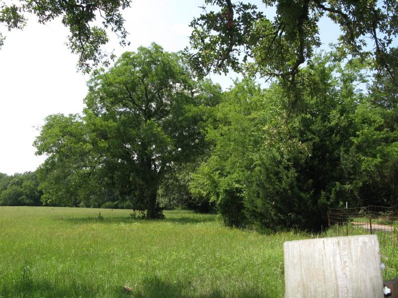 Tbd Van Zandt County Road 1111 Property Photo 9