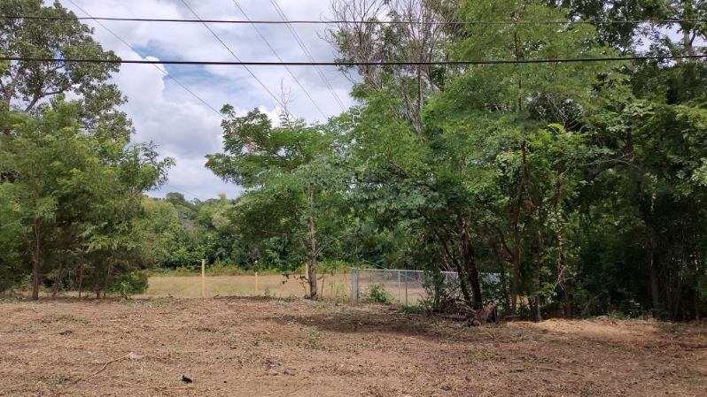 1800 W Crawford Street Property Photo 13