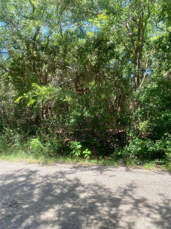2922 Cedarbrush Street Property Photo 2