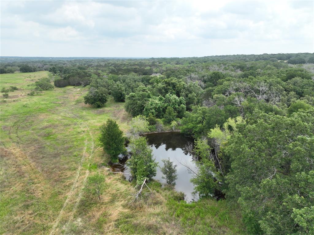 Tbd Cr 295 Lot 3 Property Photo 1