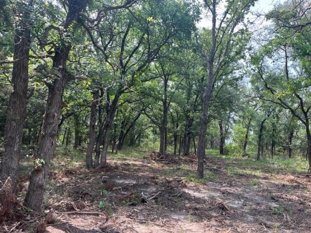 Tbd Cr 295 Lot 3 Property Photo 2