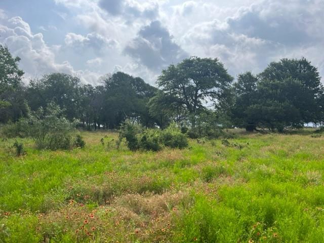 Tbd Cr 295 Lot 3 Property Photo 6