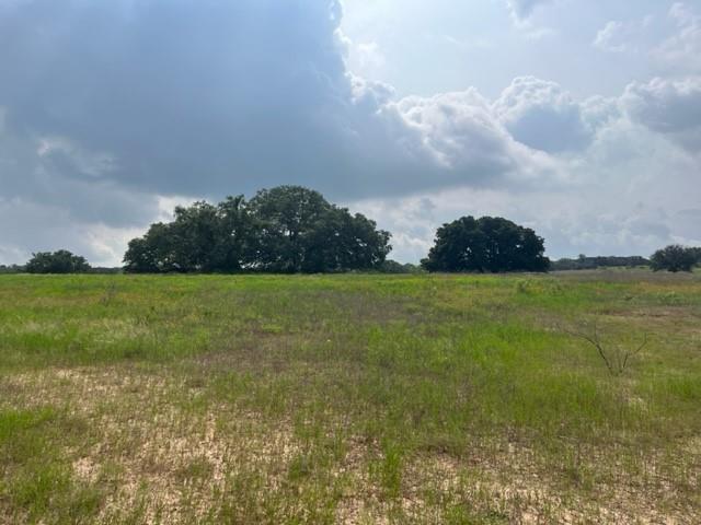Tbd Cr 295 Lot 3 Property Photo 7
