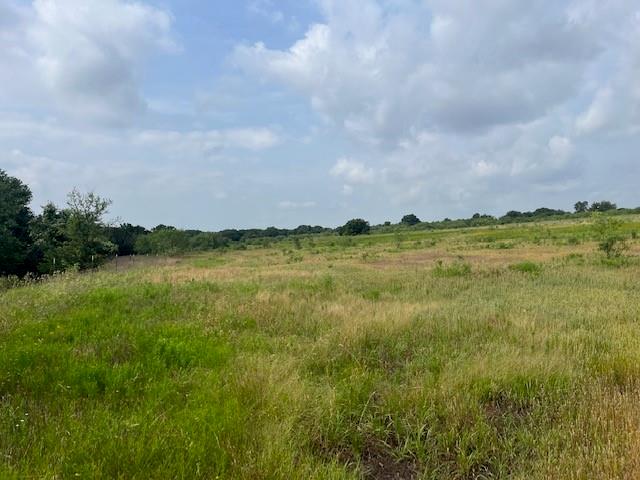 Tbd Cr 295 Lot 3 Property Photo 8