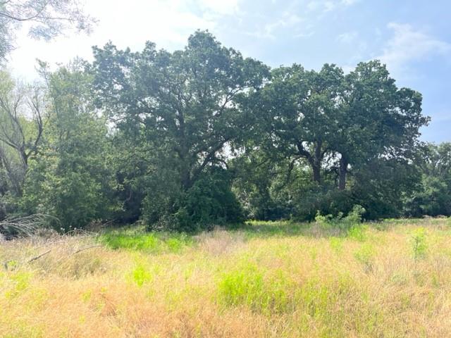 Tbd Cr 295 Lot 3 Property Photo 9