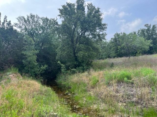 Tbd Cr 295 Lot 3 Property Photo 10