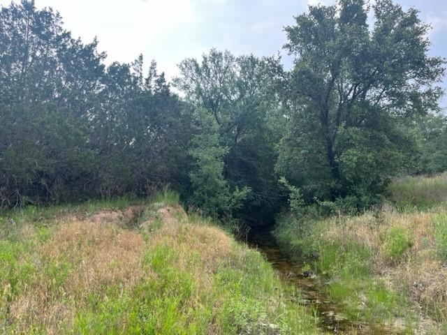 Tbd Cr 295 Lot 3 Property Photo 11