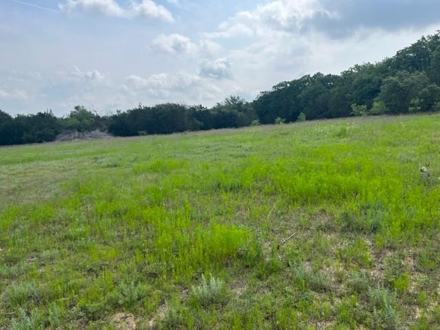 Tbd Cr 295 Lot 3 Property Photo 12