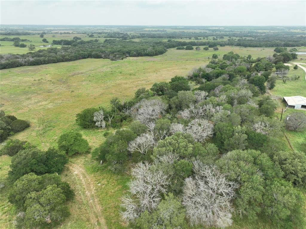 Tbd Cr 295 Lot 3 Property Photo 14