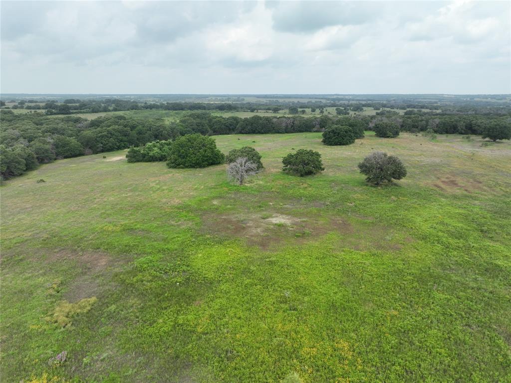 Tbd Cr 295 Lot 3 Property Photo 15