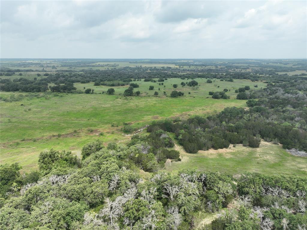 Tbd Cr 295 Lot 3 Property Photo 16