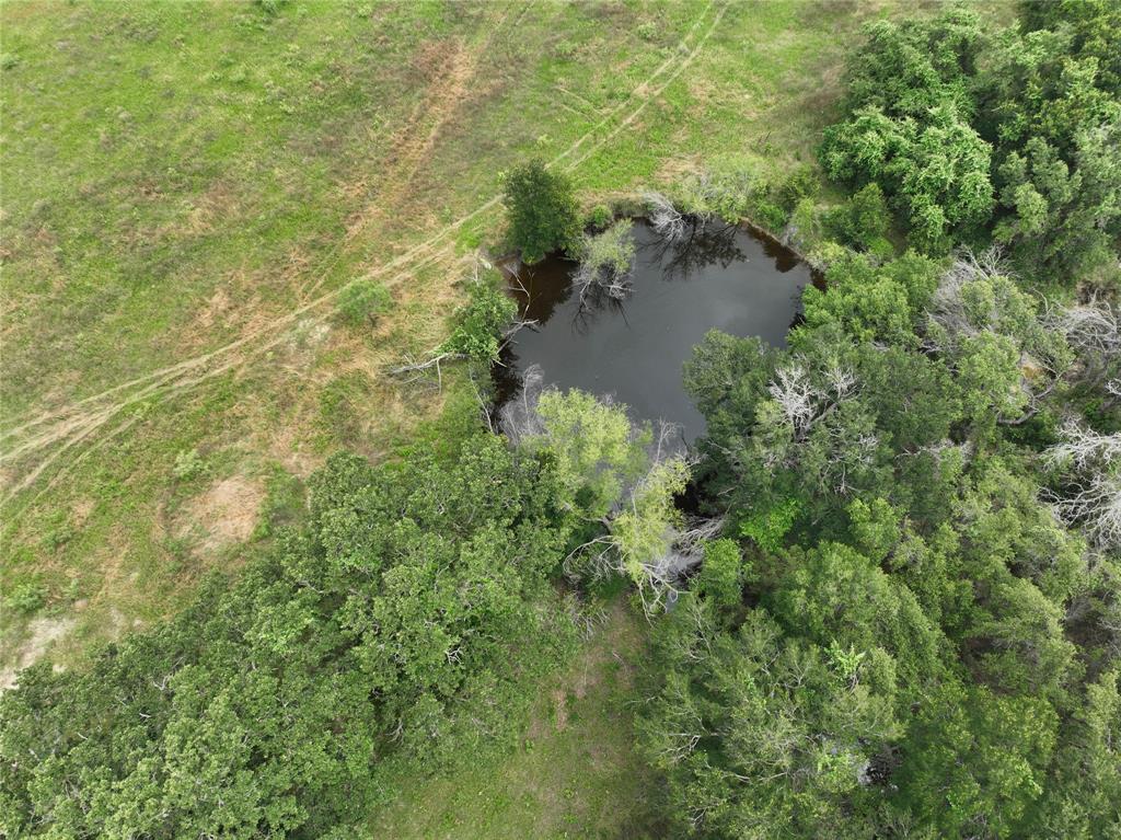 Tbd Cr 295 Lot 3 Property Photo 19