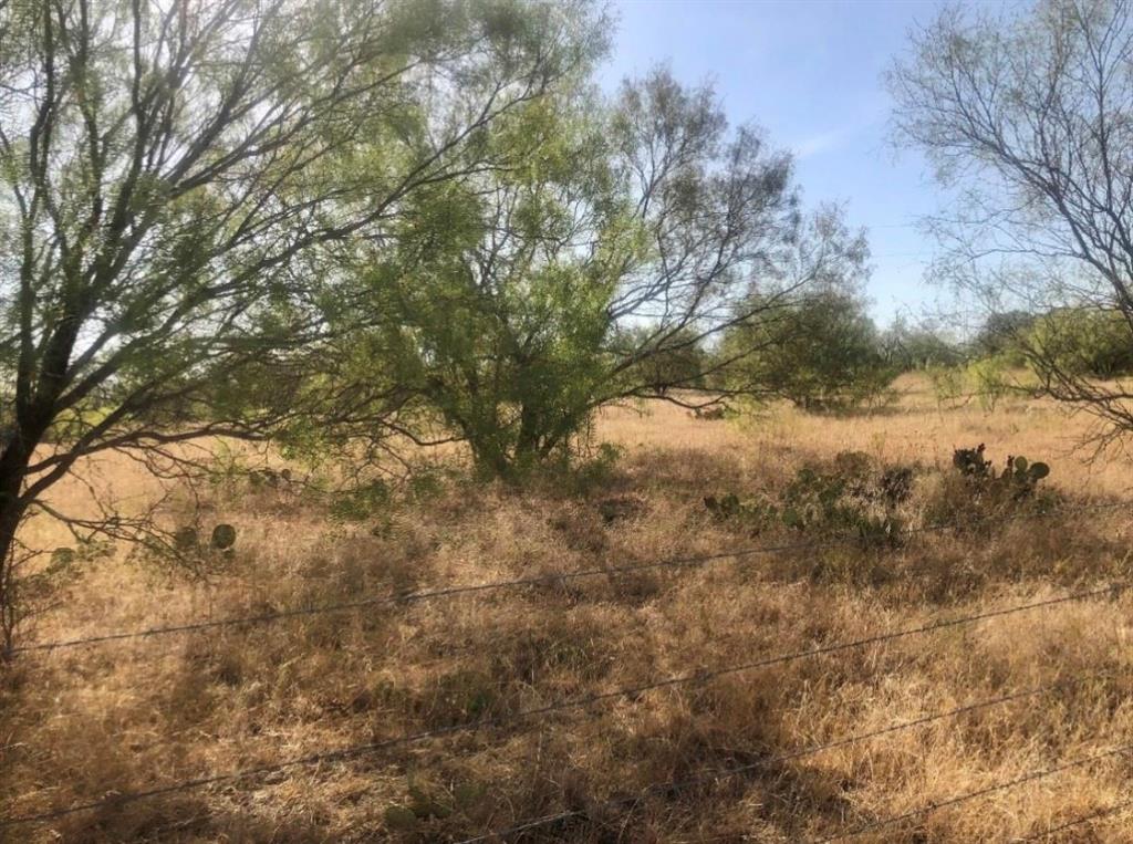Tbd Fm 266 Property Photo 2