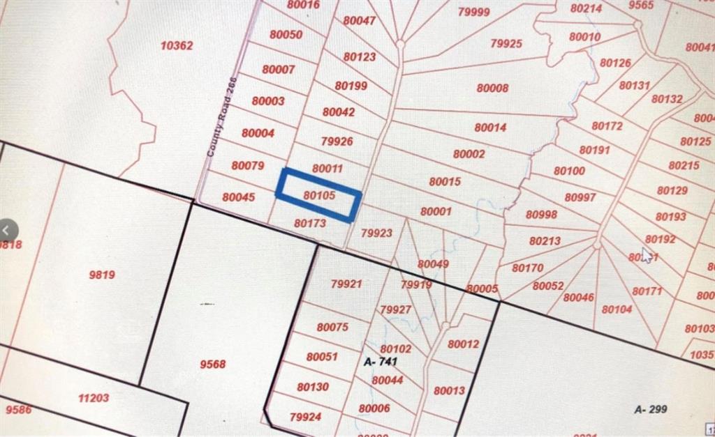 Tbd Fm 266 Property Photo 5