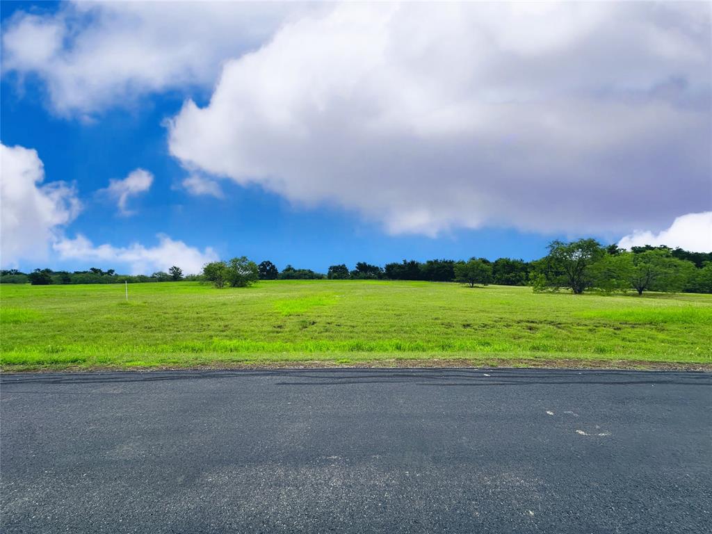 Lot 134 Lake Vista Drive Property Photo 2