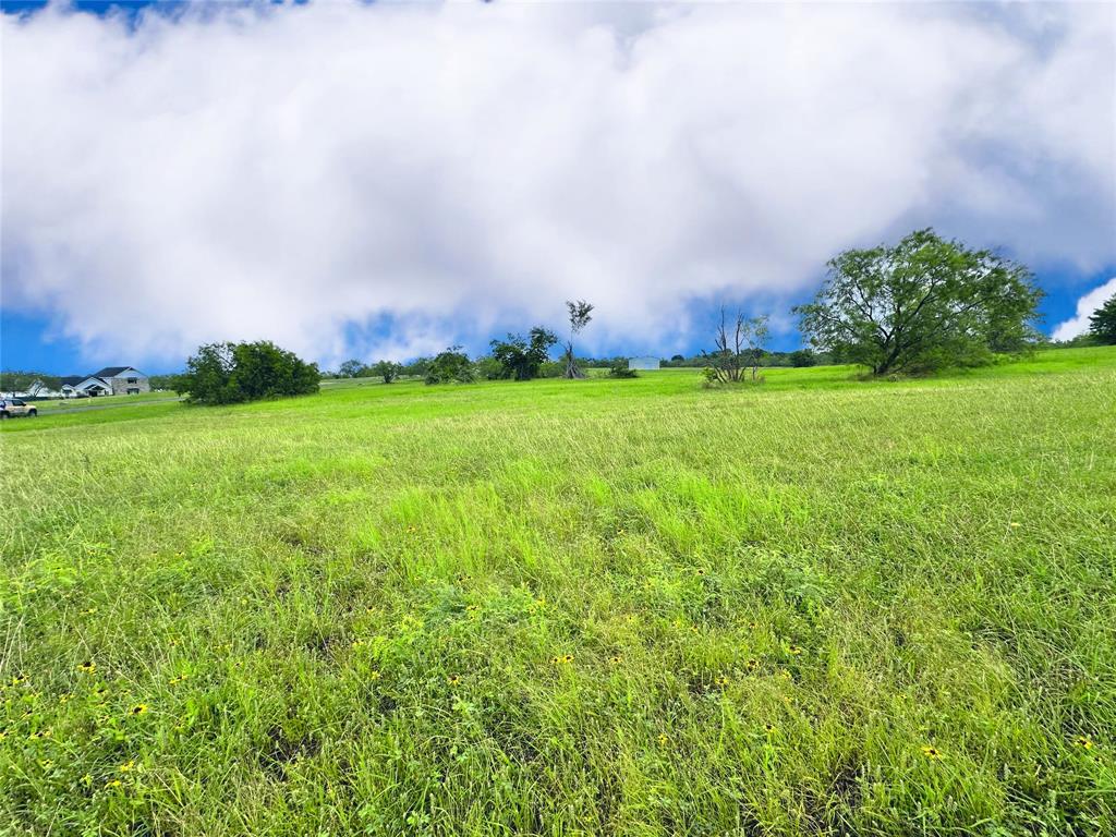 Lot 134 Lake Vista Drive Property Photo 12