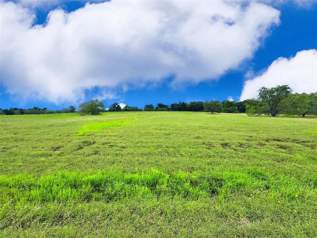 Lot 134 Lake Vista Drive Property Photo 18