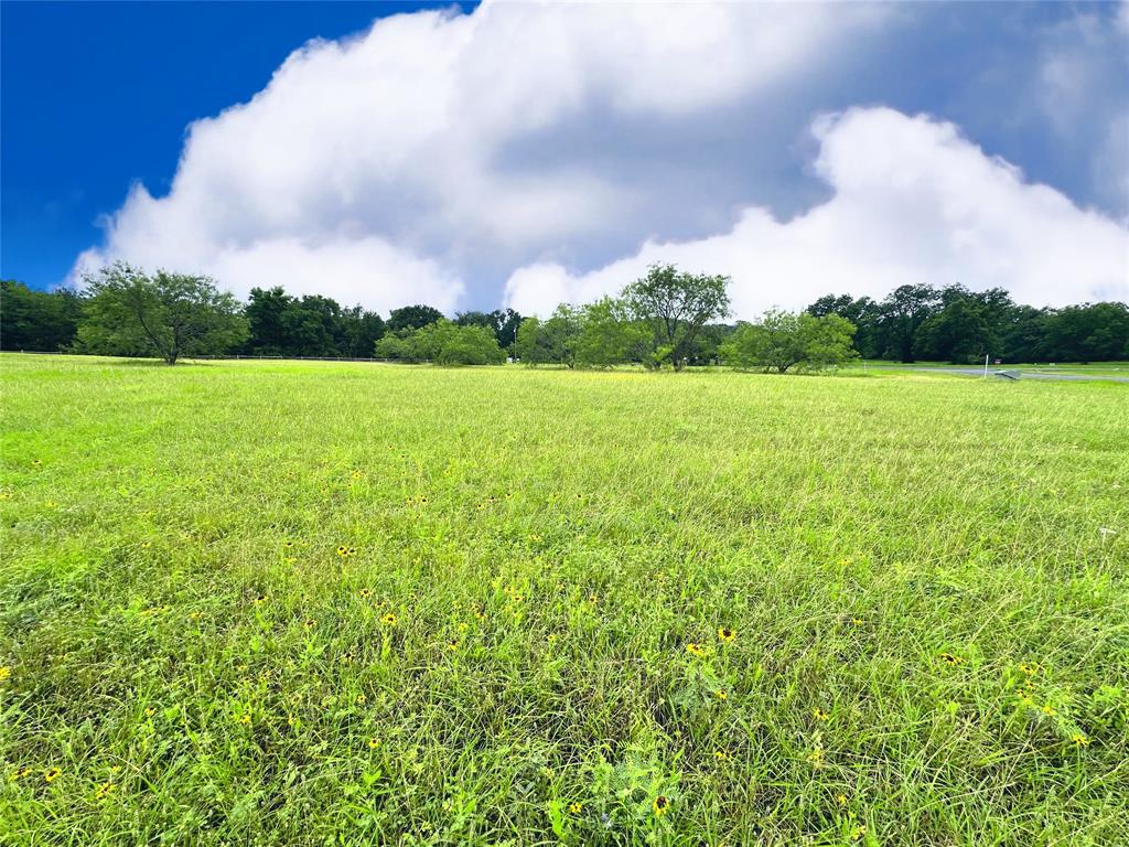 Lot 134 Lake Vista Drive Property Photo 20