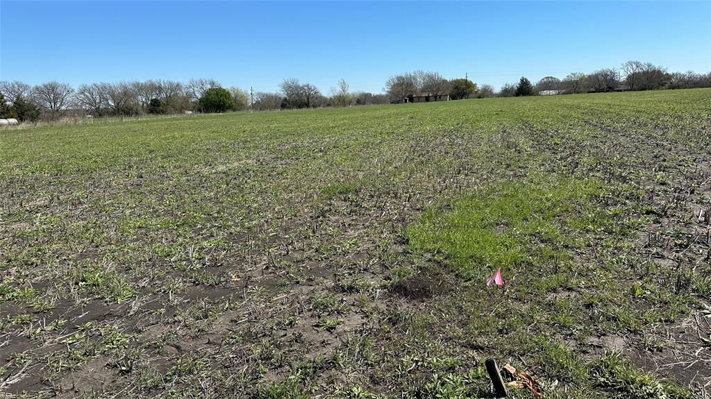 14693 State Highway 78 Property Photo 2